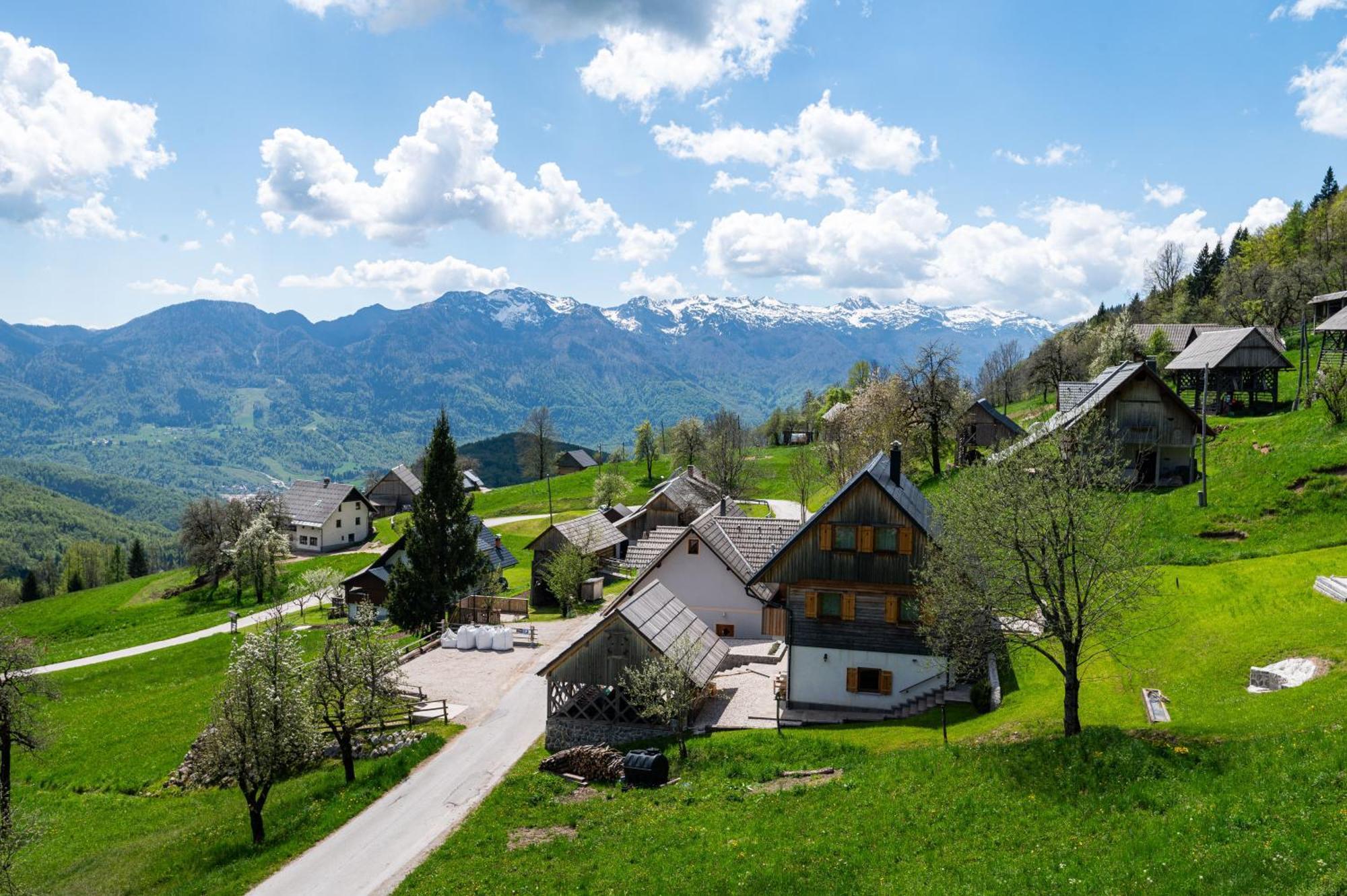 Podjelje Villa Dış mekan fotoğraf